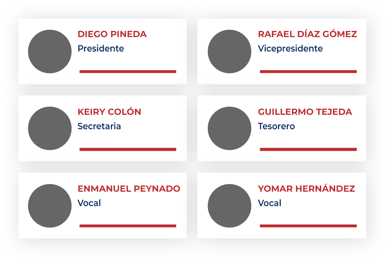 Imagen de Directiva